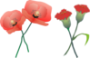 Blossoming Carnations Clip Art